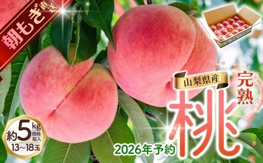 
                  朝もぎ直送!『山梨県産　桃』約13～18玉 約5kg規格箱入り 選び抜かれた山梨の桃《もも 先行予約》山梨県産　モモ/ フルーツ 果物 くだもの 人気 産地直送/厳選  贈答 贈り物【tab0221-05】
                