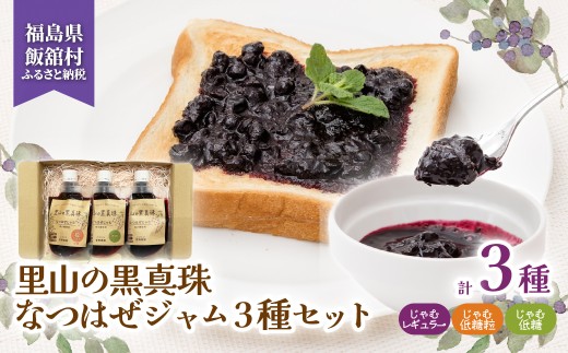 里山の黒真珠 なつはぜじゃむ3種セット 【ふるさと納税 人気 おすすめ ナツハゼ 名物 特産 ポリフェノール 抗酸化 疲労回復 健康 美容 復興 福島 飯舘村】 ITTAA003