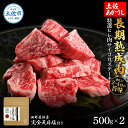 【ふるさと納税】特選 ヒレ肉サイコロステーキ 土佐あかうし 長期熟成肉 500g×2 合計1kg 田野屋銀象 完全天日塩付き ヒレ肉 ステーキ 肉 お肉 和牛 牛肉 国産 牛 熟成肉 サイコロステーキ 豪華 贅沢 真空パック 冷凍配送 新鮮 美味しい 故郷納税 高知県 土佐市