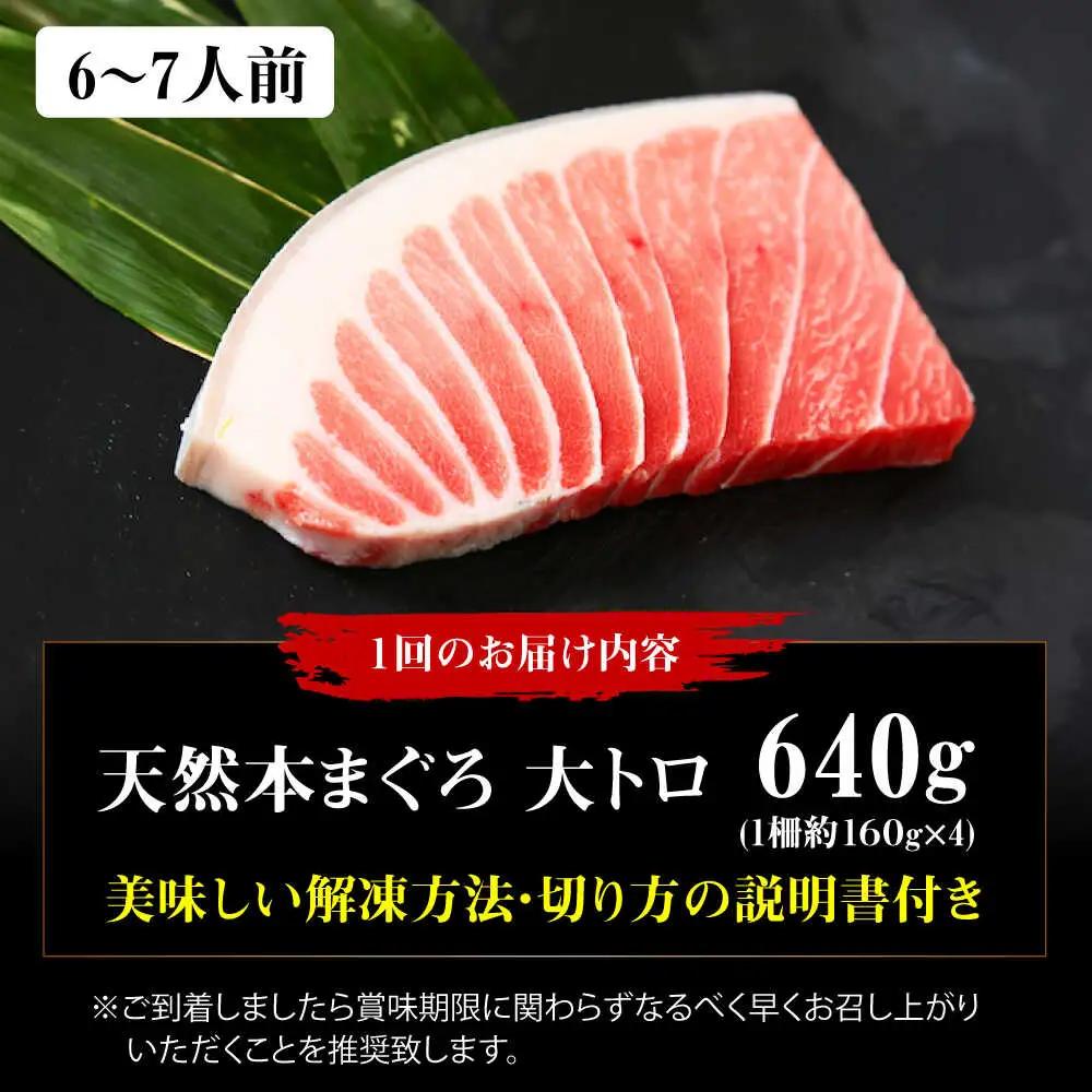 【全6回定期便】たね熟天然本まぐろ大トロ(640g)[AOCE026]マグロ