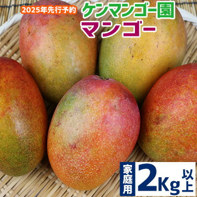 【ふるさと納税】【2025年発送】【ケンマンゴー園】　家庭用マンゴー　2kg以上 完熟 マンゴー アップル 南国 沖縄 フルーツ くだもの 果物 果実 先行予約 産地直送 贅沢 濃厚 スイーツ デザート 旬の果物 ご自宅用 ご家庭用 国産 冷蔵
