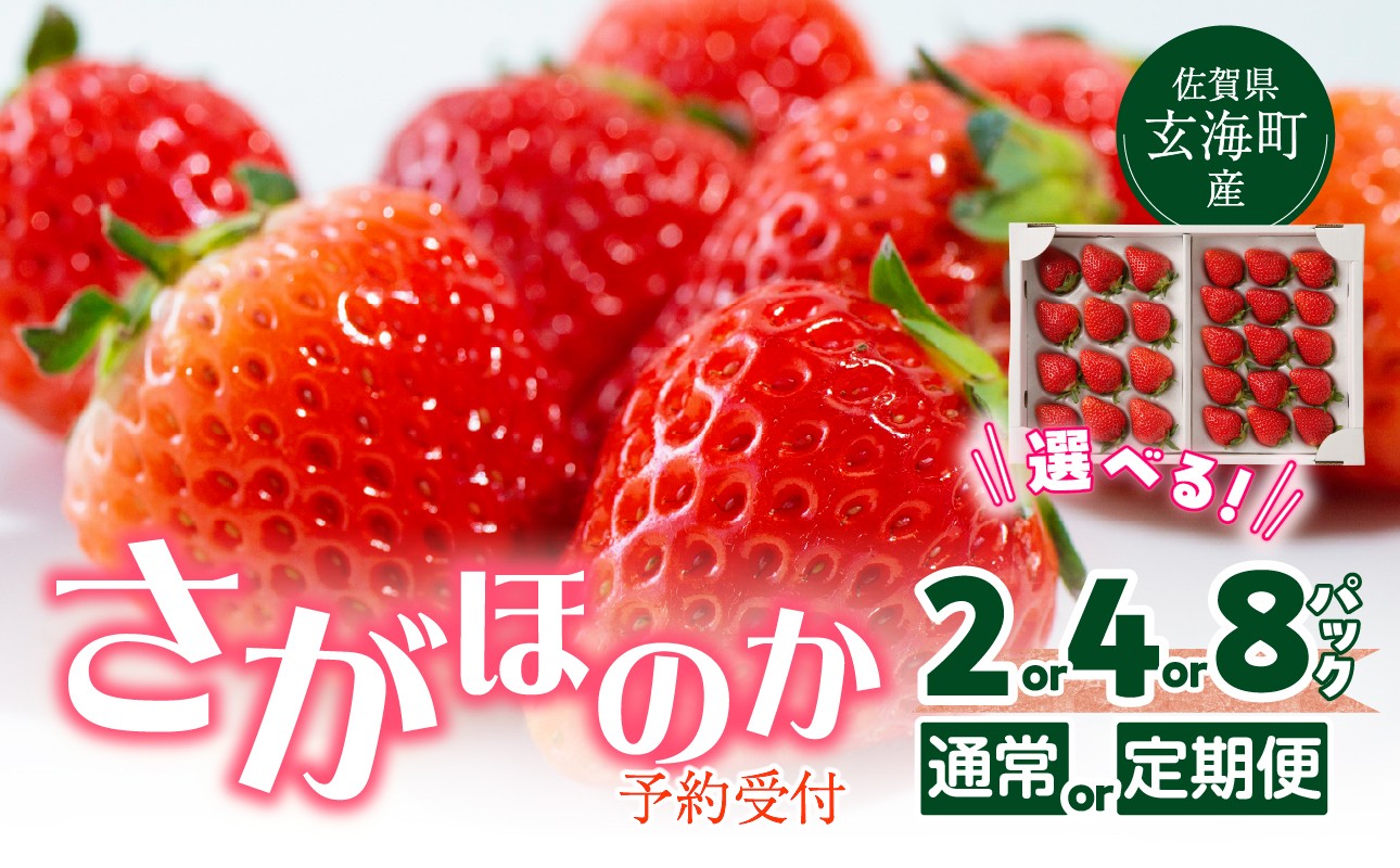 
                  ★予約受付★【内容量が選べる】佐賀県玄海町産「さがほのか」／ 送料無料 さがほのか 苺 いちご 定期便 イチゴ 希少 果物 くだもの フルーツ デザート 旬 順次配送 予約受付
                