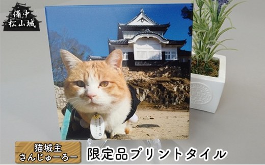 [№5615-0419]備中松山城 猫城主 さんじゅーろープリントタイルA