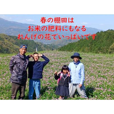 ふるさと納税 多久市 令和6年産『しょうちゃんの棚田米』　　【玄米10kg】栽培期間中農薬不使用 れんげ緑肥育ちの棚田米 |  | 02