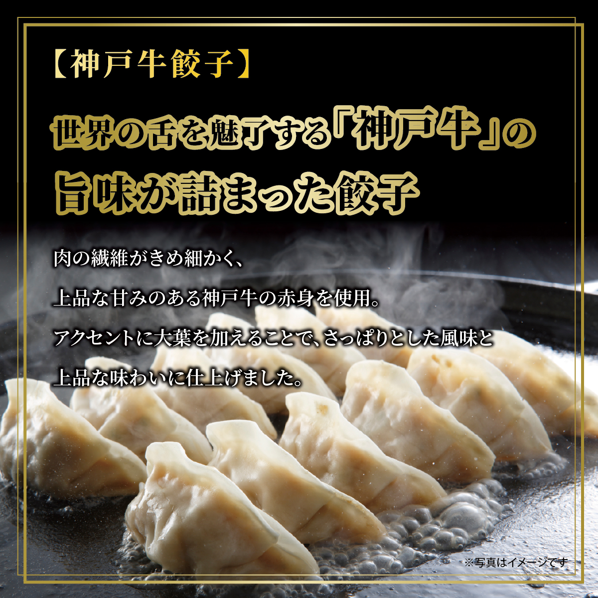 神戸牛餃子・黒豚餃子・地鶏餃子 各1折セット：熨斗なし