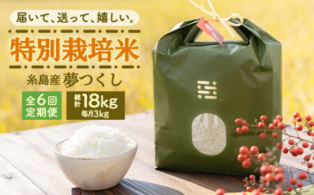 【全6回定期便】 とくべつの中のとくべつ 特別栽培米 3kg 夢つくし 吉富町/(株)やました[BGBX003]