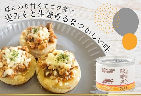 缶詰工場直送　伝統のさば缶「旬ほとぎ」味噌煮24缶【C3-014】