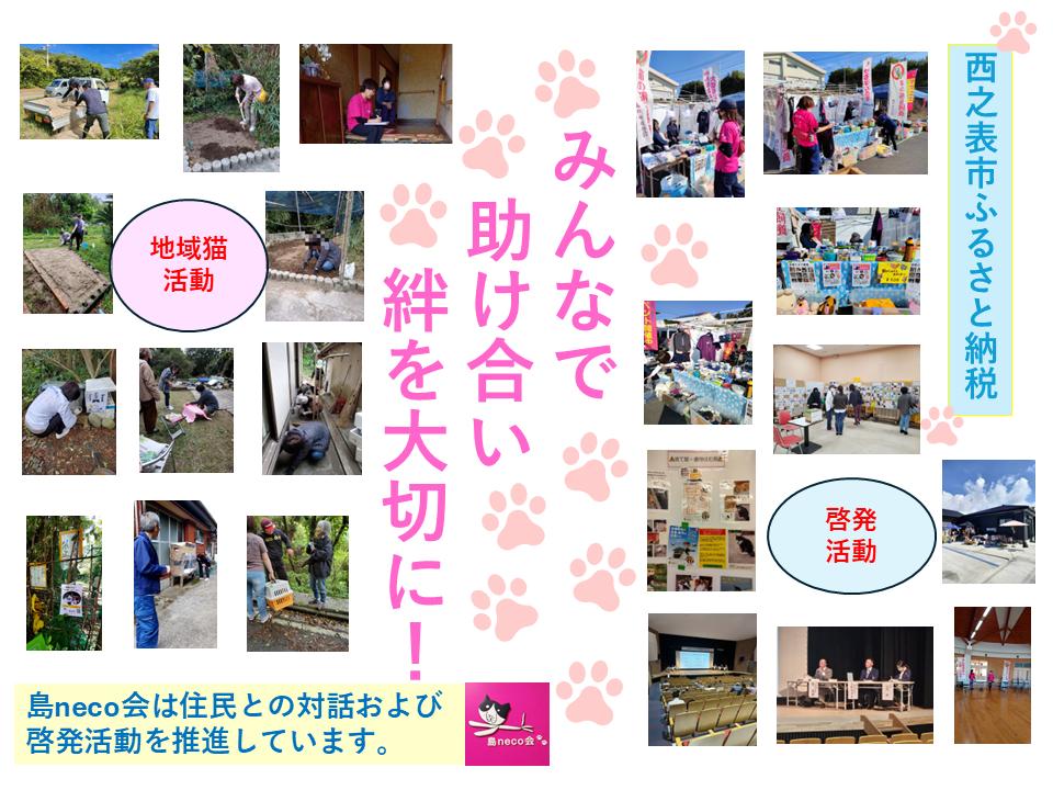 【返礼品なし】猫愛護活動支援 NFN641 【250PT】// 特定非営利活動法人　種子島 島neco会