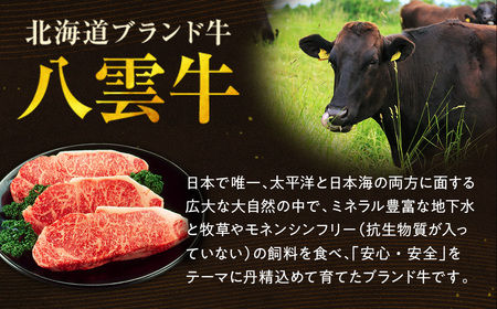 【ふるなびWEEK対象】【北海道情報雑誌で紹介！】八雲牛 ヒレステーキ150g×3 ※沖縄・離島への配送不可