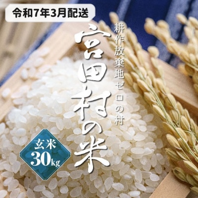 【先行受付】【令和6年米】減農薬栽培(栽培期間中)コシヒカリ/玄米/30kg/令和7年3月配送