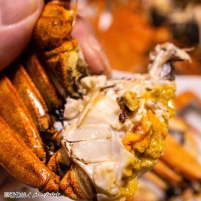 ふるさと納税 四万十市 濃厚な旨み!清流四万十川・天然モクズガニ 約1kg(大小混合) |  | 03