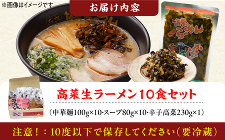 高菜生ラーメン10食セット 広川町 / ワイエスフード株式会社[AFAE007]