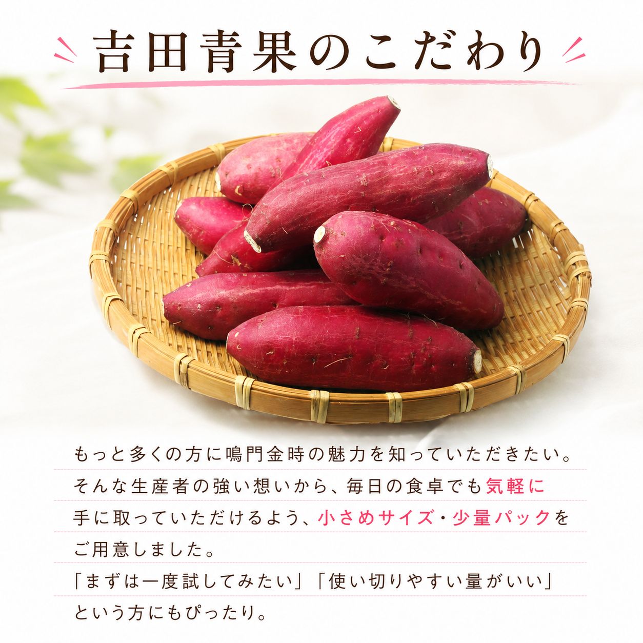 さつまいも なると金時 甘藷 500g Sサイズ ~ 2Sサイズ サツマイモ さつま芋 鳴門金時 金時 ホクホク 焼き芋 天ぷら 大学芋 スイートポテト おやつ かんしょ 純国産 徳島県