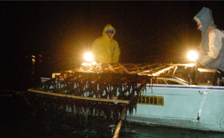 【全12回定期便】こだわりの技術で美味しいが続く！上質な高級焼きのり 全型金5帖（全型10枚分×5） 吉野ヶ里町[FCO009]