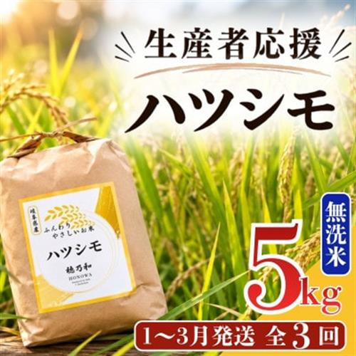 【発送月固定定期便】【先行予約】生産者応援!岐阜県産ハツシモ(無洗米)5kg【1～3月発送】全3回【配送不可地域：離島】【4073731】