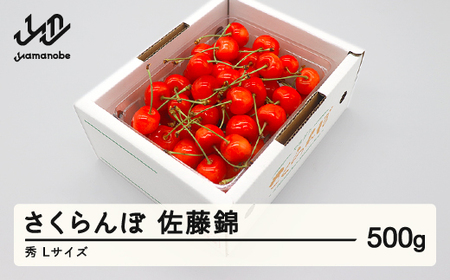 先行予約 さくらんぼ 佐藤錦 秀品 L玉 500g バラ詰 2026年産 令和8年産 山形県産 mm-snbax500