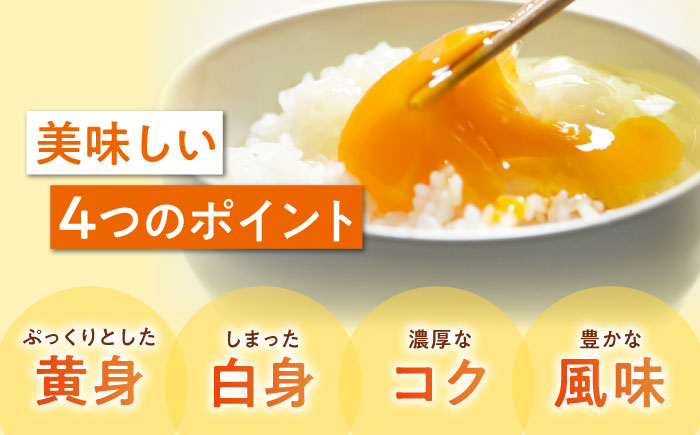 平飼い 海草たまご 3パック（30個入り）割れ保証あり 愛媛県大洲市/和田養鶏場 卵 たまご 鶏卵 卵料理 玉子 [AGDQ001]