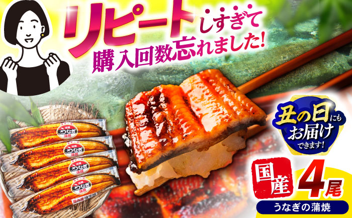 
            【最速発送】＜諫早淡水＞うなぎ蒲焼4尾 / うなぎ ウナギ 鰻 蒲焼き 蒲焼 かばやき うな重 ひつまぶし うな重 うな丼 冷凍 / 諫早市 / 活うなぎ問屋 諫早淡水 [AHAT007]  最速 最短 スピード 発送
          