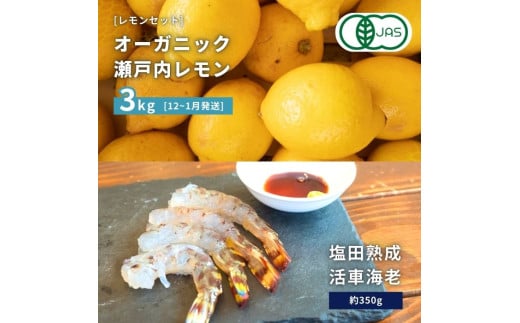 オーガニック瀬戸内レモン 3kg(12~1月発送) / 塩田熟成活車海老 350g(11~2月発送) オーガニック 有機レモン 有機JAS 果汁100% レモン えび エビ エビフライ 晩酌 国産 瀬戸内 濃厚 甘さ控えめ 免疫力向上 健康 ビタミンC クエン酸 抗酸化 ソーダ 炭酸水