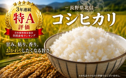【定期便3回】黄金銀香 飯山産 コシヒカリ 精米 5kg（5kg×1袋） 合計 15kg 《発送開始：2026年11月〜》 小島  | 新米 お米 米 精米 白米 コメ こしひかり ご飯 おいしい お