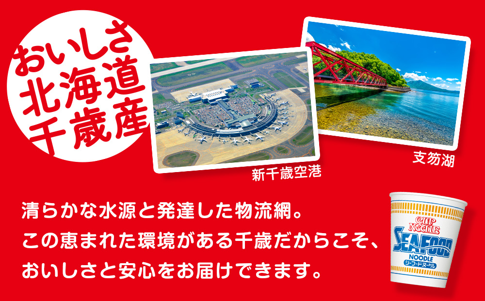 10営業日以内発送 日清★シーフードヌードル 2箱・合計40食