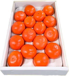 B351-13 まるたん　１６玉　化粧箱入り