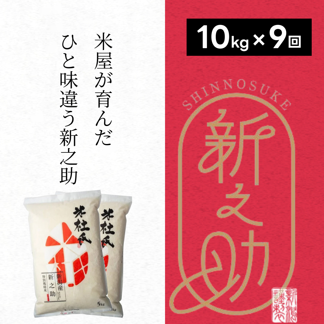 【新米】 9ヶ月定期便 特別栽培米 新之助 10kg (5kg×2袋)×9回 米杜氏 壱成 白米 精米 大粒 つや 光沢 弾力 芳醇 1H29207