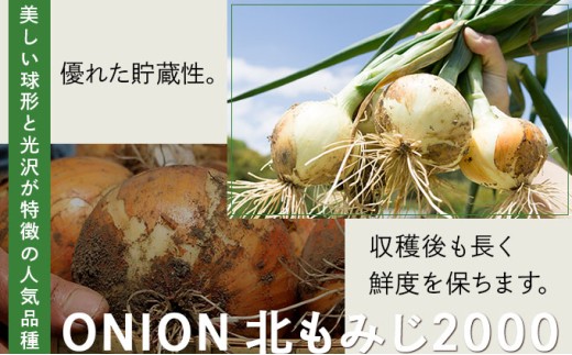 畑から直送の新鮮野菜！玉ねぎ（北もみじ2000）20kg｜タマネギ たまねぎ 玉葱 北海道 岩見沢市【a168-009】 20kg