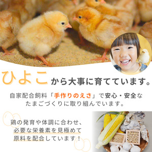 《訳あり》九十九里ファームこだわりたまご贈答用30個～あおい海・みどりの里～（赤玉or白玉） ／ たまご 卵 玉子 タマゴ 白玉 赤玉 訳あり 訳アリ 贈答用 ギフト お歳暮 九十九里ファーム 千葉県