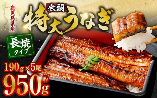 DS-102 鹿児島県産無頭特大うなぎ蒲焼約190g×5尾　合計約950g 食べごたえある5人前