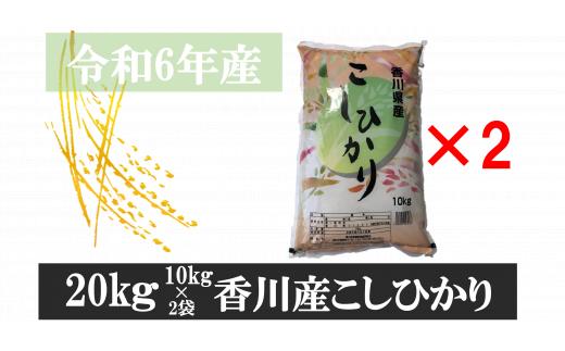 896-6　令和6年産香川県産こしひかり　10ｋｇ×2　紙袋配送　【6月配送】