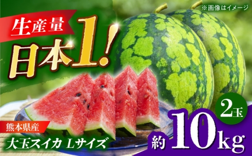【先行予約】 大玉スイカ Lサイズ 2玉入り 約10kg すいか 大玉 熊本 フルーツ 野菜 果物 【日本フルーツ株式会社】 [ZFJ044]