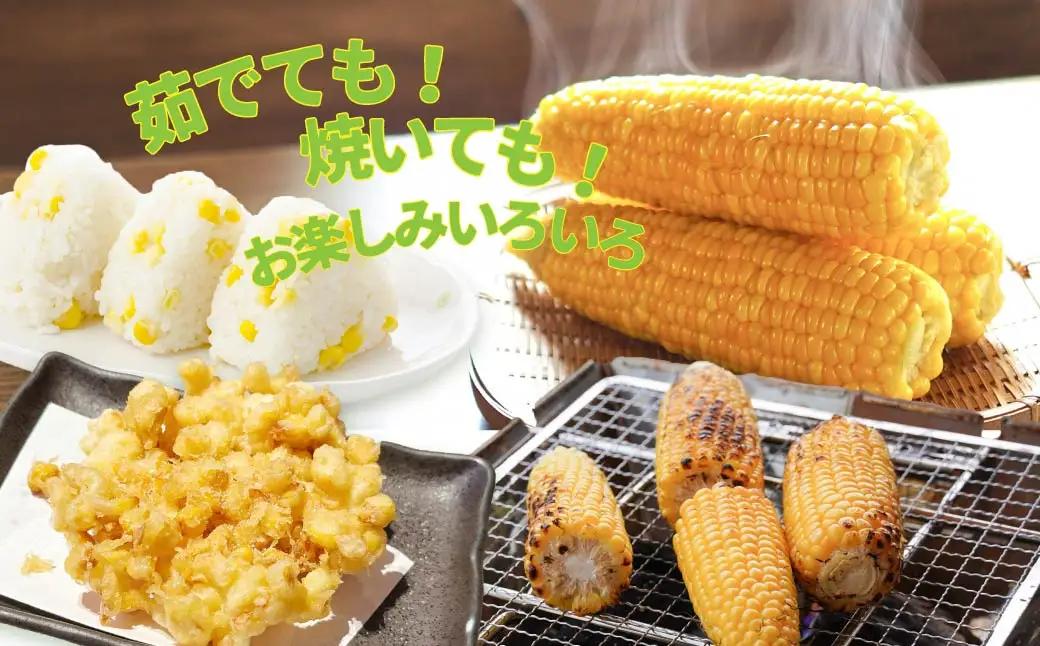 トウモロコシ 20本 朝採れトウモロコシ