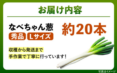 ねぎ【2026年11月発送開始】なべちゃん葱 Lサイズ5kg 約20本[AICO001]