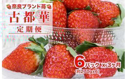 【2026年発送先行予約】【定期便 全３回】苺 古都華(ことか) いちご 奈良 270gx6パック 計1620g ３ヶ月連続 ブランドいちご かたおかの苺 いちご 苺 奈良ブランド苺 イチゴ ブランド 古都華 大粒 苺 旬 産地 直送 フレッシュ イチゴ フルーツ 果物 国産 ベリー 贈答用 プレゼント 人気苺 ふるさと納税苺 ふるさと苺 furusato苺 おすすめ苺