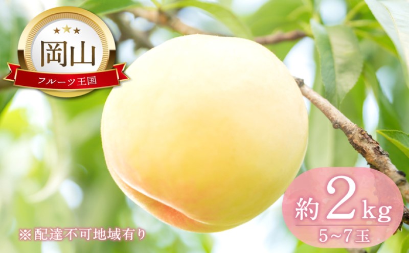 桃 【2025年 先行予約】 晴れの国 おかやま の 白桃 2kg(5玉～7玉) もも モモ 岡山県産 国産 フルーツ 果物 ギフト