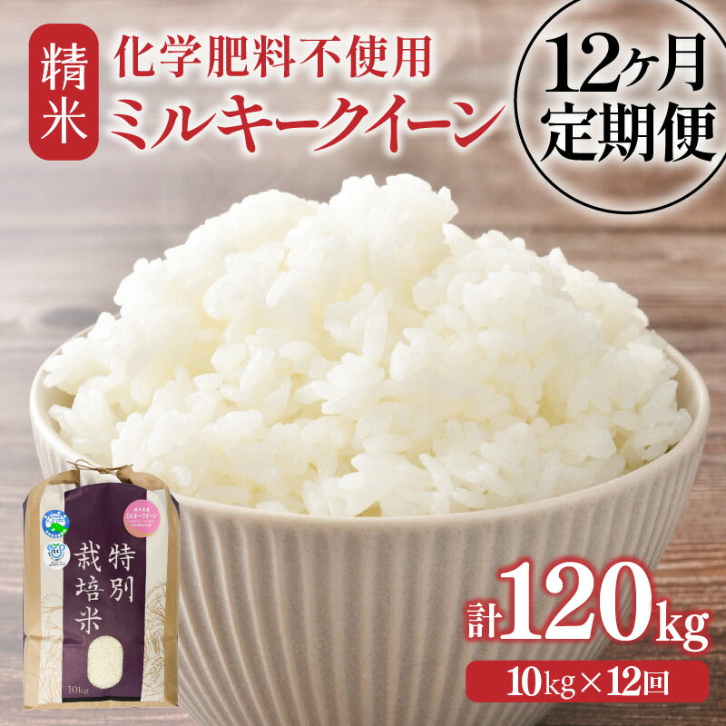 【ふるさと納税】【先行予約】【令和7年産】定期便 ≪12ヶ月連続お届け≫ 化学肥料不使用 特別栽培米 ミルキークイーン 精米 10kg × 12回（計120kg）/ 白米 米 福井県あわら市産 美味しい 特別栽培米 減農薬 安心な米 もっちり 冷蔵保管米 ※2025年10月上旬より順次発送