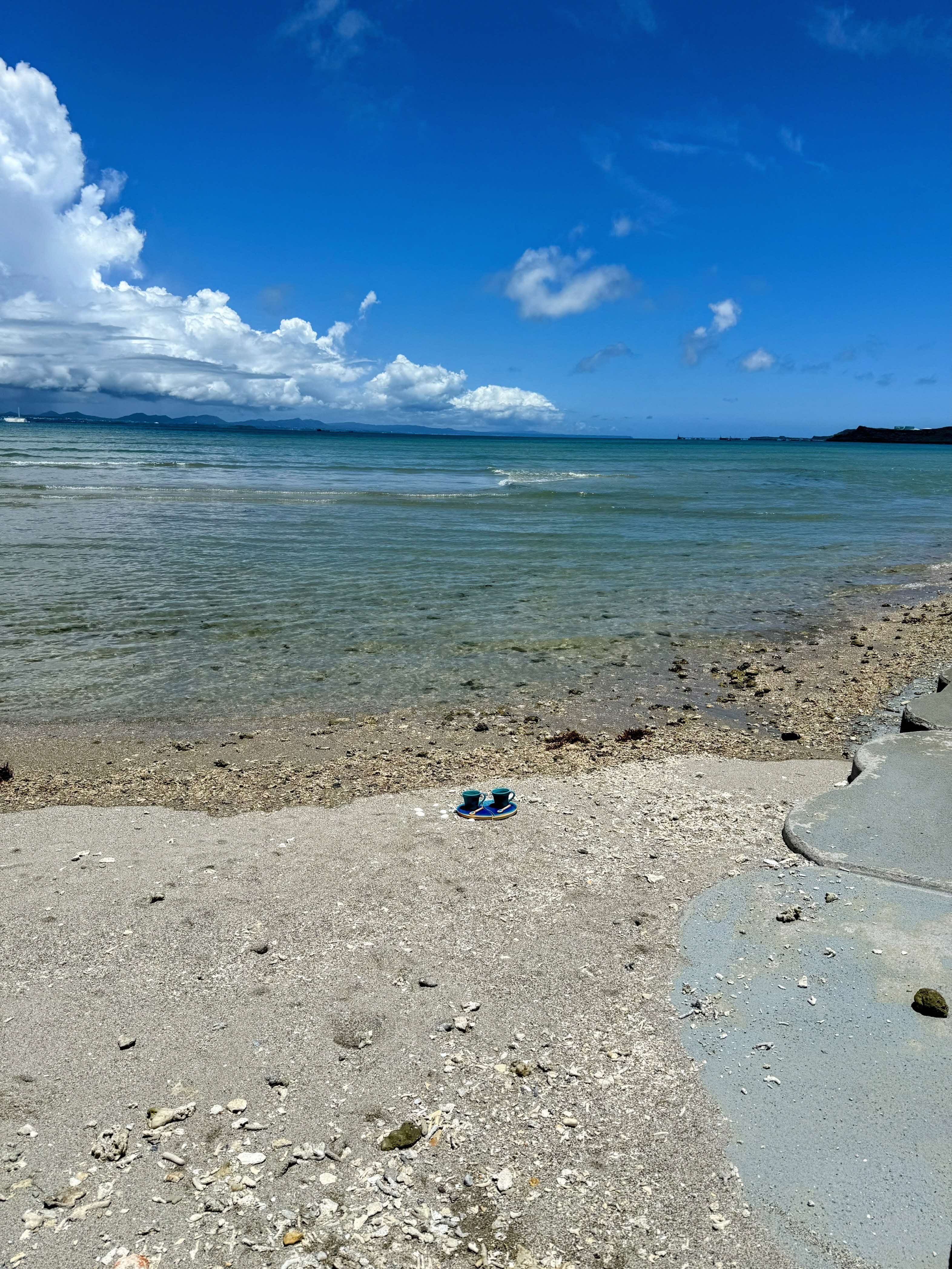 
            うるま陶器『カップ＆ソーサー：シンクロ率100%』
          