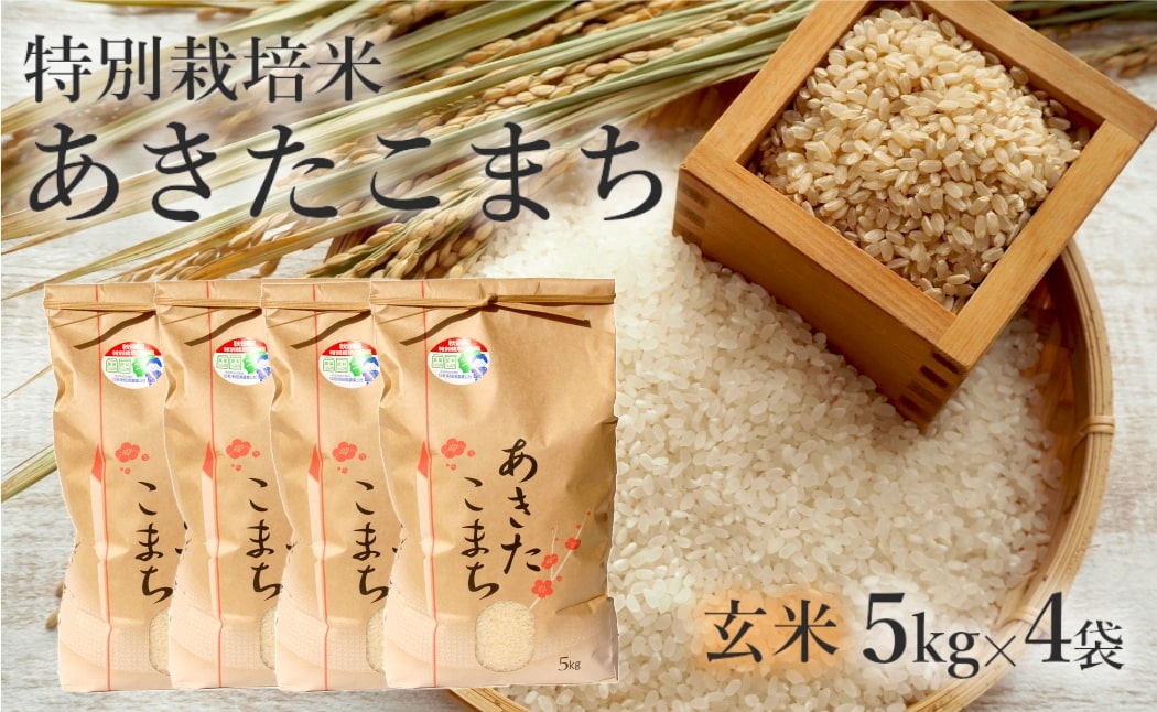 玄米 あきたこまち 20kg (5kg×4袋) 令和7年産 米 こめ お米 おこめ 令和7年 特別栽培米 産地直送 ご飯 ごはん 秋田こまち 秋田 秋田県 能代市 特別栽培 減農薬