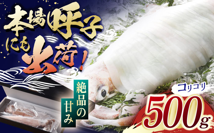 極鮮ヤリイカ 約500g【海隆丸】[KAB109]/ 長崎 平戸 魚介類 イカ いか ヤリイカ 真空パック 小分け 贈物 贈答 プレゼント