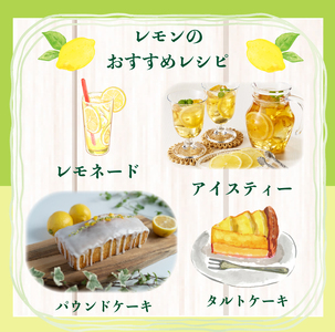 【先行予約 国産 レモン】 2.5kg れもん 檸檬 タタラ商店 