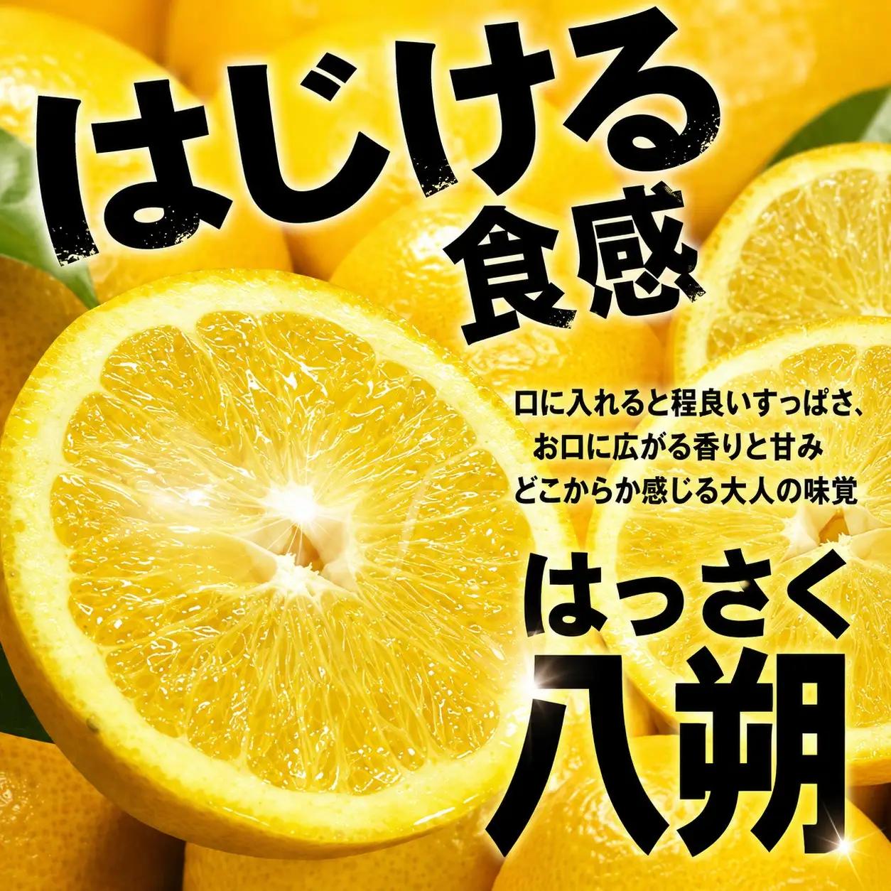 八朔(はっさく)約5kg サイズおまかせ　紀伊国屋文左衛門本舗 ※2027年1月下旬～2027年4月上旬頃に発送予定【kstb410B】