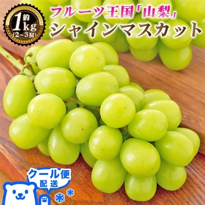 
            2026年発送 山梨県産 シャインマスカット 約1kg(2～3房) 山梨が誇る人気果物 熟練農家厳選【1272524】
          