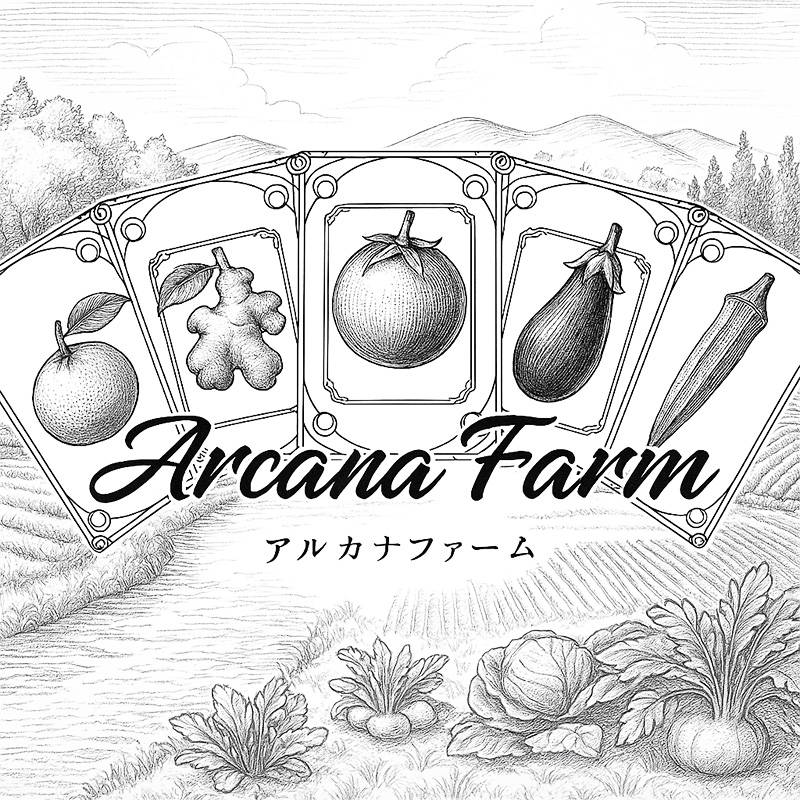 【12回定期便】こだわりの新鮮野菜セット 8~11品目 | 野菜セット 新鮮 野菜 人気 季節の野菜 おすすめ 高知県 南国市