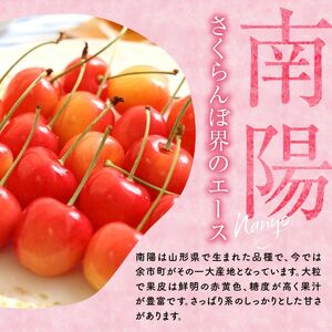 フルーツ王国余市産「南陽（3L）」500g×2パック【2025年発送先行予約】余市 北海道 フルーツ王国 さくらんぼ サクランボ 桜桃 南陽 小分けさくらんぼ  人気さくらんぼ ニトリ  余市さくらん