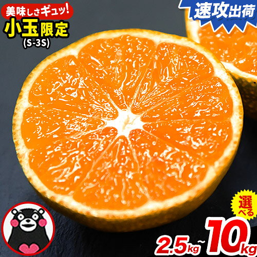 【ふるさと納税】【年内発送】みかん 訳あり 小玉 くまもと小玉みかん 2.5kg (2.5kg×1箱) 5kg (2.5kg×2箱) 10kg (10kg×1箱) ご家庭用 たっぷり 熊本県産 S-3Sサイズ フルーツ 旬 柑橘 長洲町 温州みかん 早生 中生 晩生《3-7日以内に出荷予定(土日祝除く)》