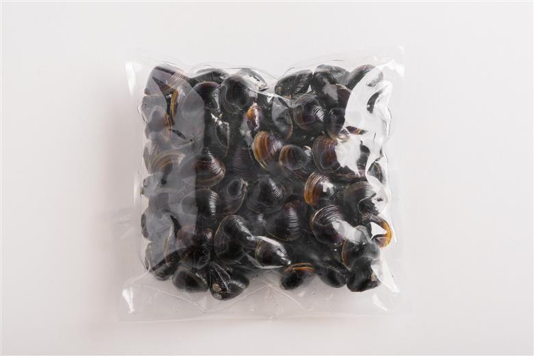 北海道網走湖産 ヤマトシジミ（600g × 2P） ABN002