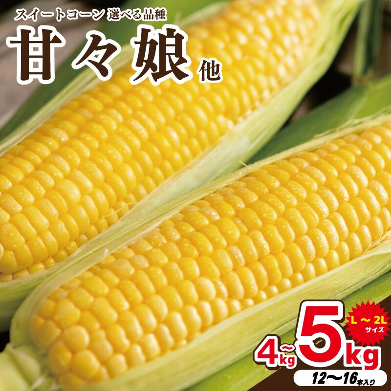 【ふるさと納税】 とうもろこし 甘々娘 4kg / サニーショコラライラ 5kg / 冷蔵 先行予約 2026年発送分 選べる品種 スイートコーン 甘い トウモロコシ 極甘 糖度 コーン 野菜 サラダ スープ コーンスープ BBQ 焼き肉 旬 朝採り かんかん娘 カンカン娘 人気 お取り寄せ