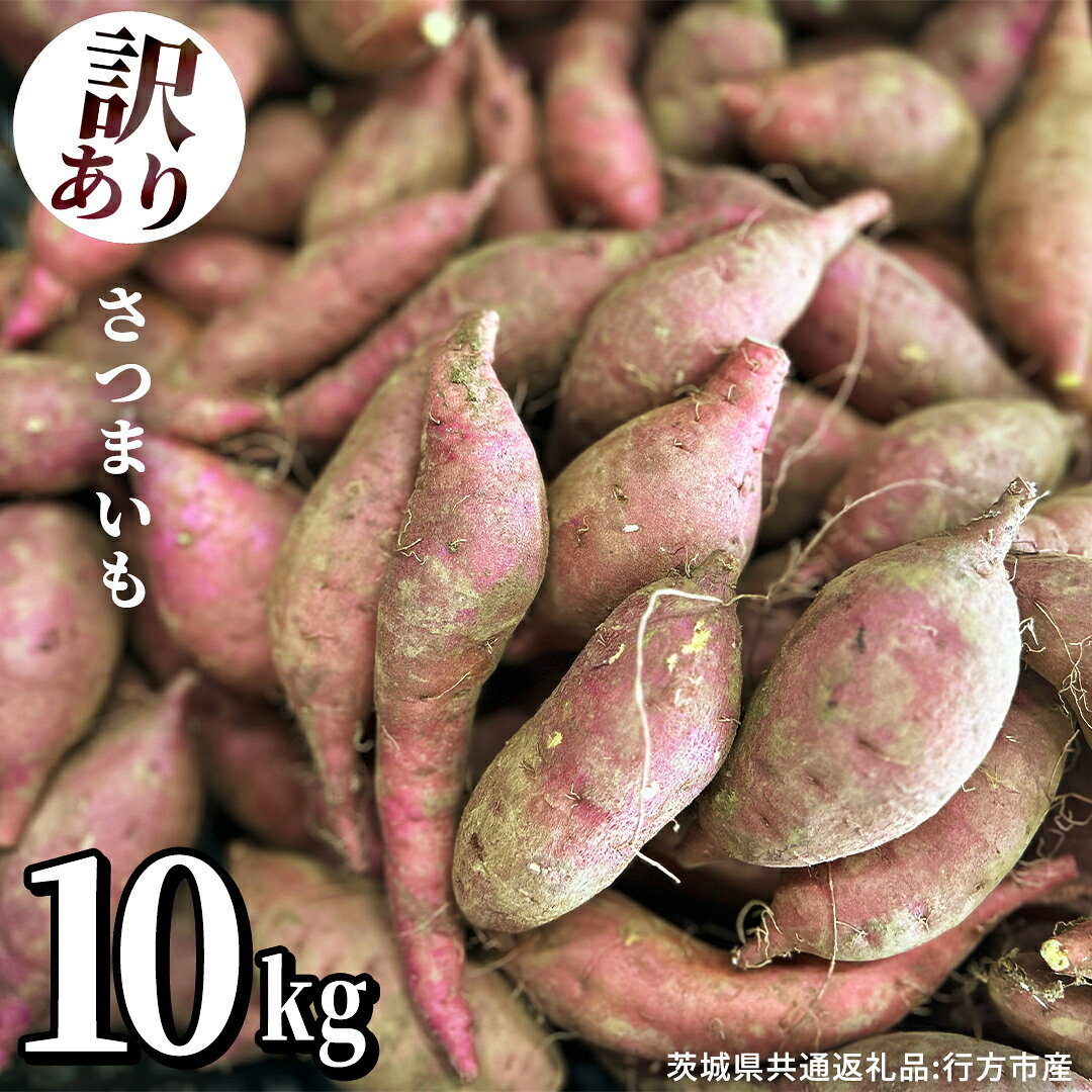 【ふるさと納税】訳ありさつまいも 10kg (茨城県共通返礼品:行方市産) 芋 いも サツマイモ 野菜 旬 家庭用 形不揃い 焼き芋 おやつ 茨城県