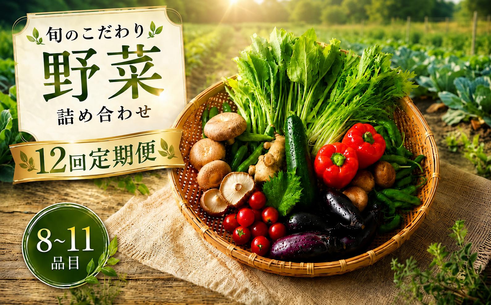 【12回定期便】こだわりの新鮮野菜セット 8~11品目 | 野菜セット 新鮮 野菜 人気 季節の野菜 おすすめ 高知県 南国市
